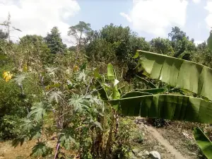 Kagera River
