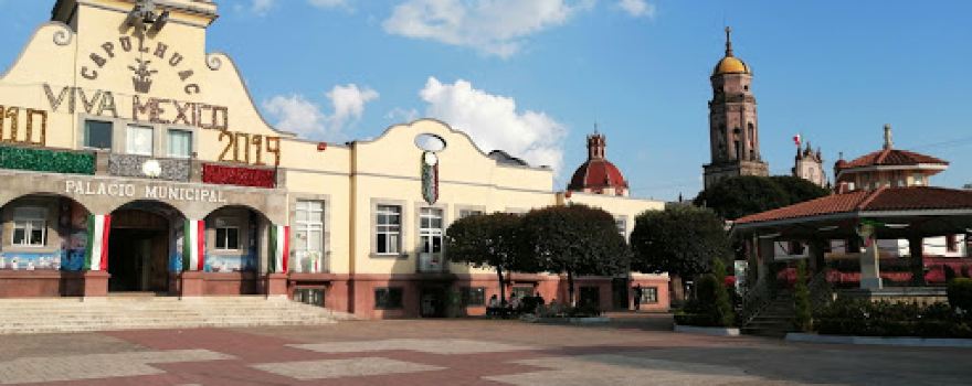 Plaza Illustrious Men