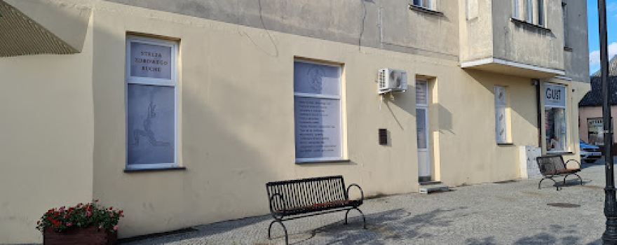 Strefa Zdrowego Ruchu Katarzyna Kołodziejska