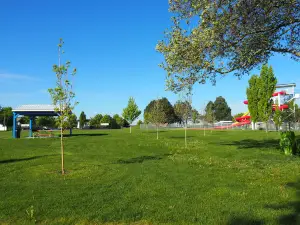 Pioneer Park