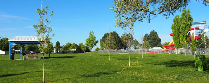 Pioneer Park