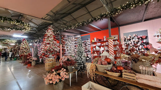 Dichio Garden Center Matera - Agribiotecnica Vivai di Dichio Giovanni e F.lli sas