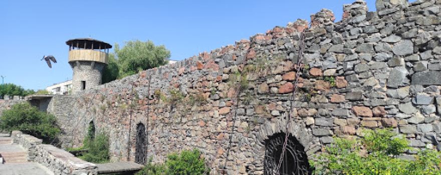 The remains of the fortress Zvyagel