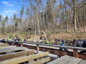 Wanderheim Dicke Eiche