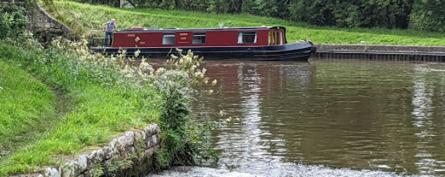 Newton Beck