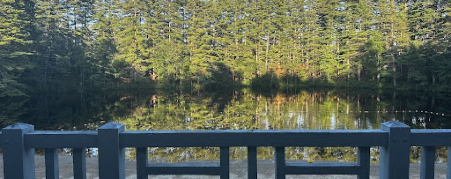 Bear Brook Park Pond