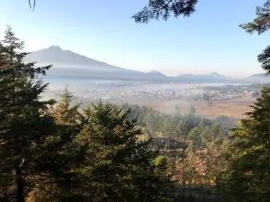 Cerrito Pelón: Reserva Ecológica