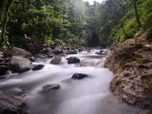 Basse-Terre Island