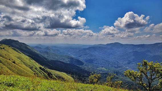 Trekking trail -Pearl valley Adventures, Coorg