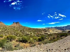 Winkleman Az