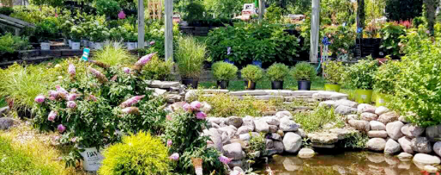 Hilltop Nursery