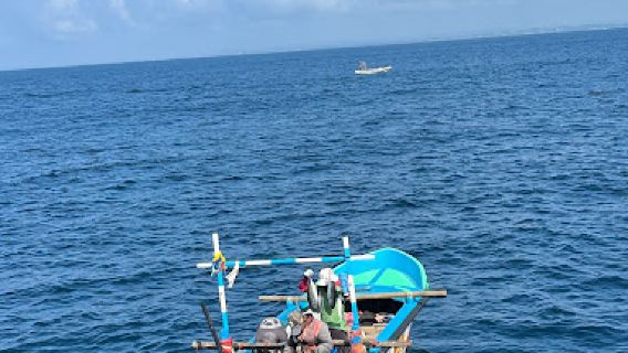 Whale Paradise Cruise