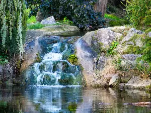 Gardens Mornac