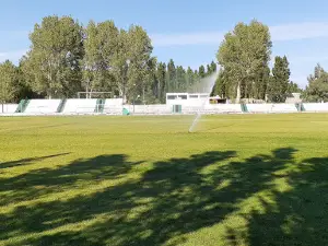 Estadio de San Martín de Rodeo