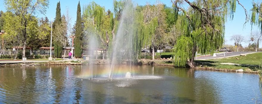 Buchanan Park