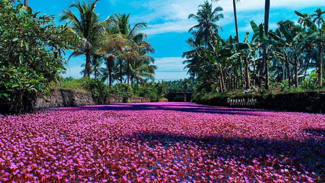 Kuttiyottu nada avalappandy