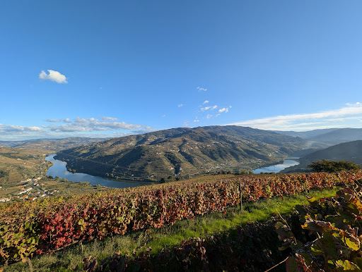 Mesão Frio viewpoint