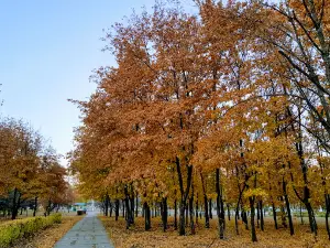 Park named after cosmonaut Beregovoy G. T.
