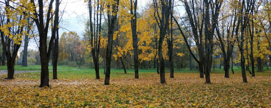 Park Kul'tury I Otdykha Gorodskoy Kup