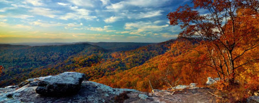 Branson Treehouse Adventures