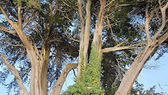 tumulus du Mané-Lud