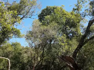 Camping Aldoi Duarte