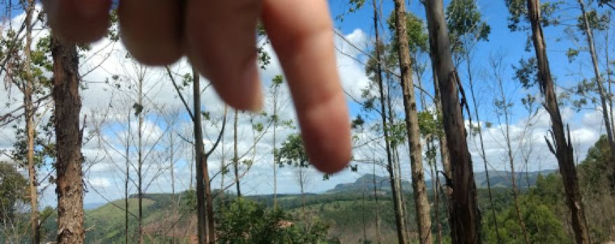 Pico Dos Abelheiros