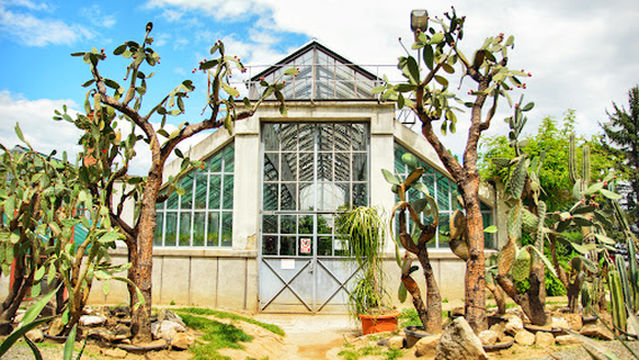 Alexandru Borza Botanical Garden