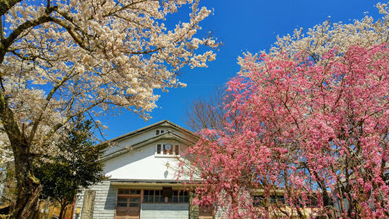Mori no Gakusho Gosho (Nantan City Regional Revitalization Center)