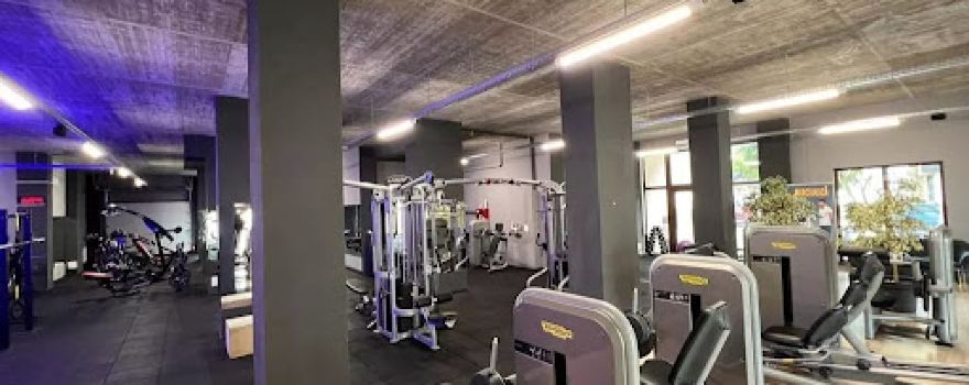 18GYM Ludus