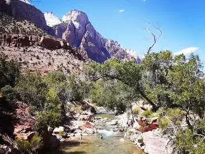 Zion Canyon Campground and RV Resort