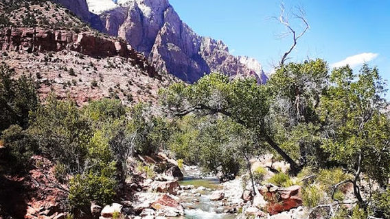Zion Canyon Campground and RV Resort