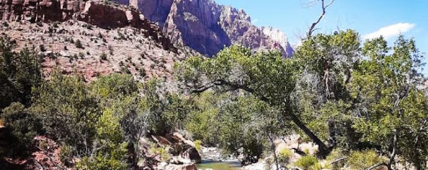 Zion Canyon Campground and RV Resort