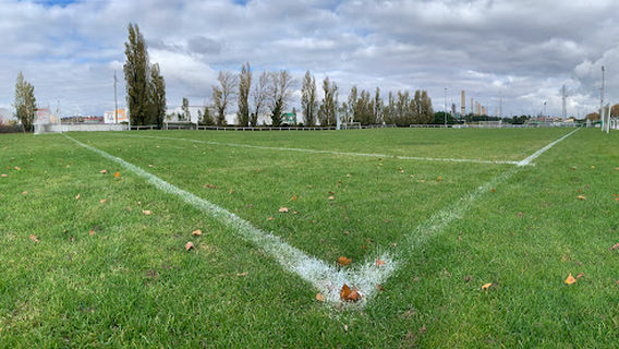 Feyzin
