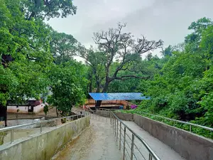 Jharipada badnavar Koteshwar mahadev mandir