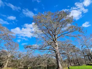 Children's Park