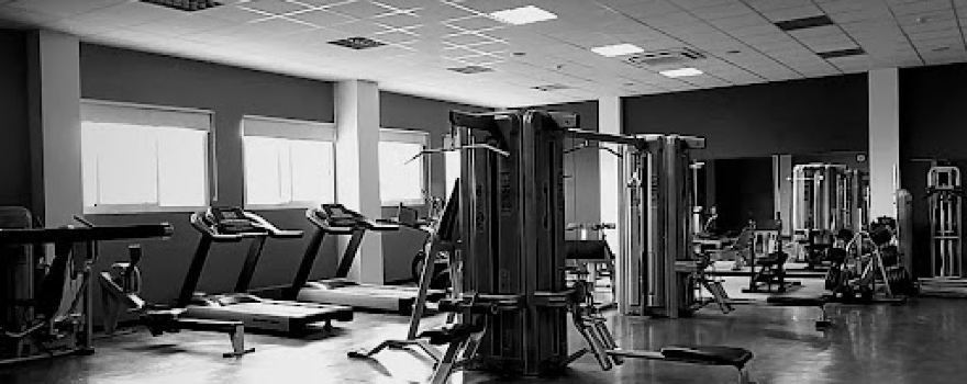 Fitness GYM Alfajarín