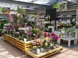 Dehner Garten-Center