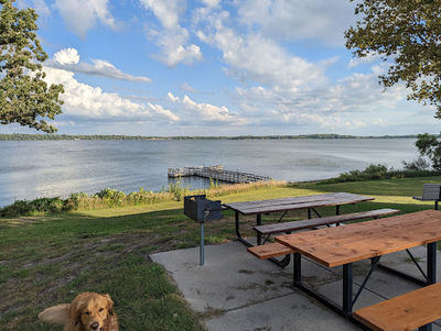 Gary Mattson Dog Park