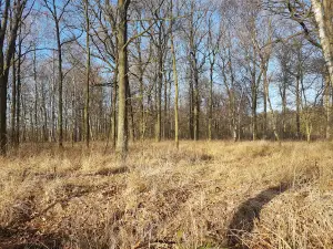 Land of Łęgi Odrzanskie