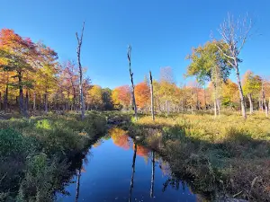 Otter Brook Lake