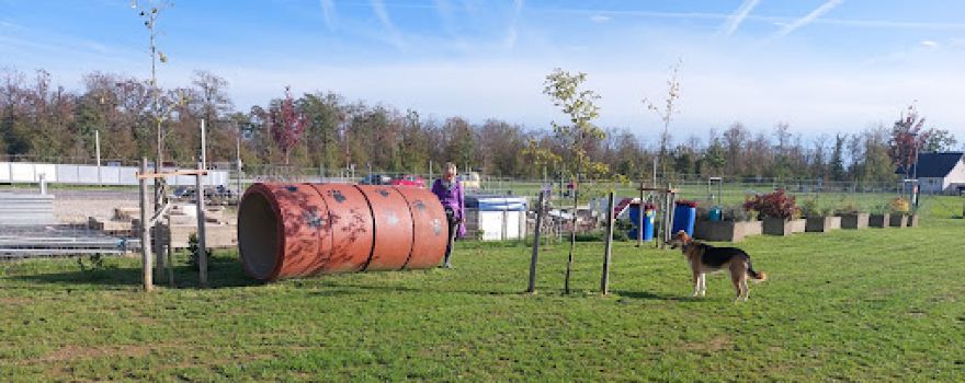 Hundefreilaufzone Kronstorf