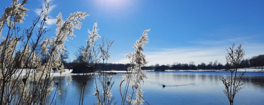Erholungsgebiet Karlsfelder See