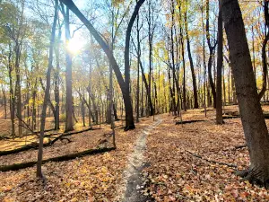 Carver Park Reserve