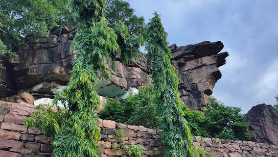 Sagar trekkers Crocodile Rock