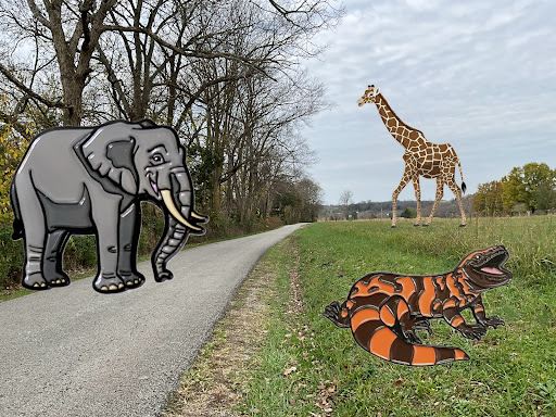 Donkey Tree
