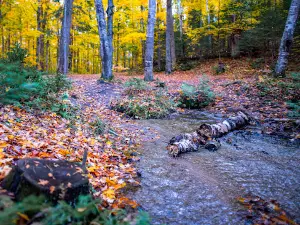 Underground Little Ocqueoc River