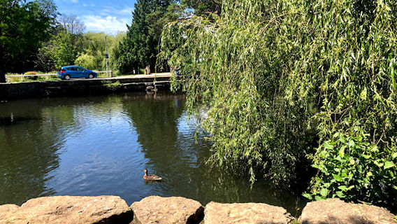 Coy Pond