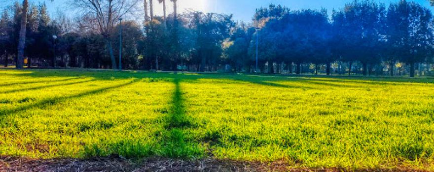 Parco Don Tonino Bello