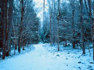 Dyken Pond Environmental Center